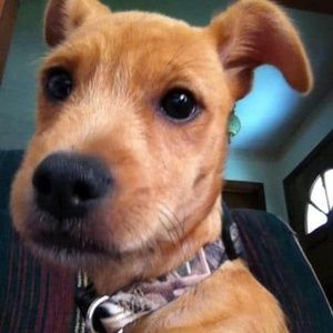 Meet your Posher, Rebecca